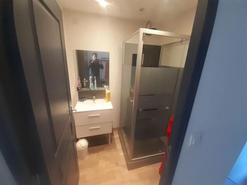 La salle de bains est pourvue d'un miroir et d'un lavabo avec une personne. dans l'établissement Petite maison de l'ancien rivage, à Boulogne-sur-Mer