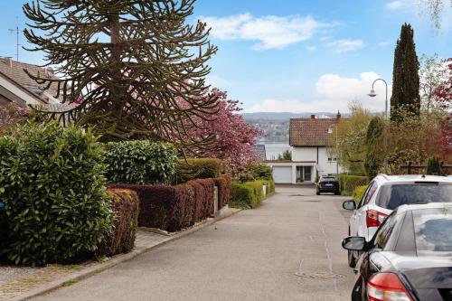 a car parked on the side of a street with a tree at Haus Schwanenweg in Konstanz