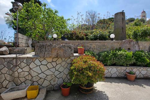 a garden with potted plants and a stone wall at Zante Sunset Vibes Luxury Villa in Áno Yerakaríon
