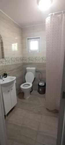 a bathroom with a toilet and a sink at Cazare de Vis 3 stele in Oreavul