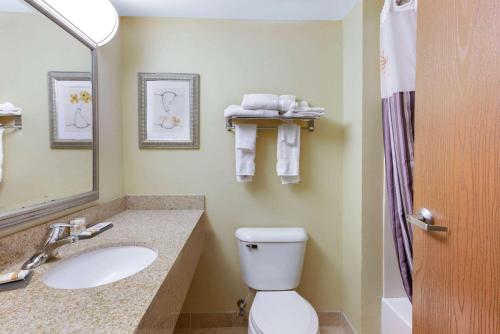 a bathroom with a toilet and a sink and a mirror at La Quinta by Wyndham Richmond - Kings Dominion in Doswell