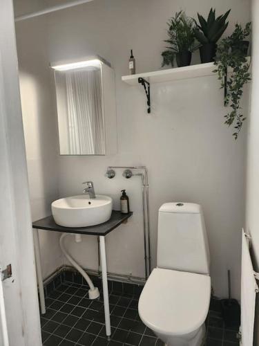 uma casa de banho com um WC branco e um lavatório. em Gáiju Apartment 