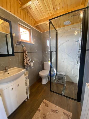 a bathroom with a shower and a sink and a toilet at Domek przy Róży 