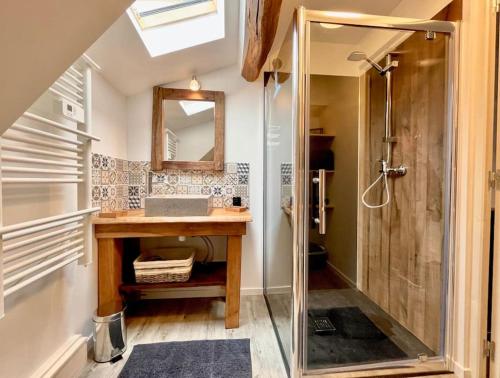een badkamer met een douche, een wastafel en een spiegel bij Sous le Château Bourbon l'Archambault in Bourbon-lʼArchambault