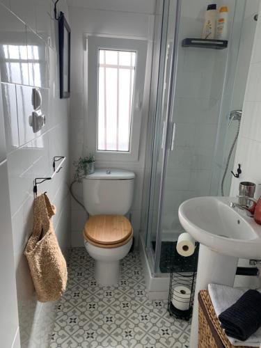 a bathroom with a toilet and a sink and a shower at Apartamento Vallecas Plaza in Madrid