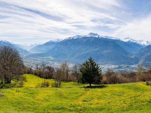 a green field with a tree and mountains in the background at Chalet Maison Le Fontany by Interhome in Randogne