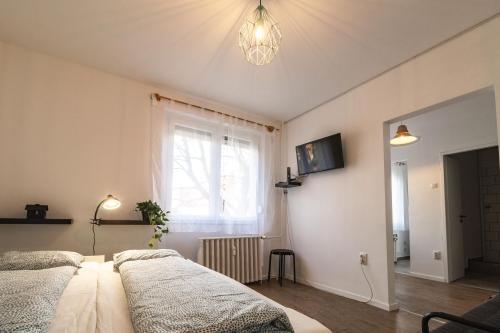 LénApartman - Audrey 7630 Pécs, 47 Zsolnay Vilmos utca kép - 3