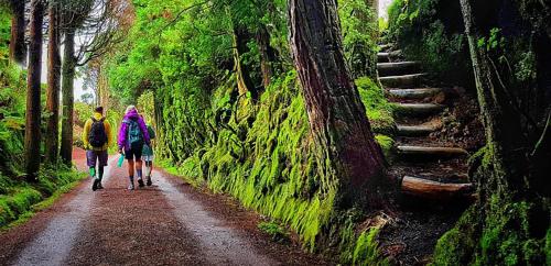 two people walking down a dirt road in a forest at B&C Furnas House in Furnas