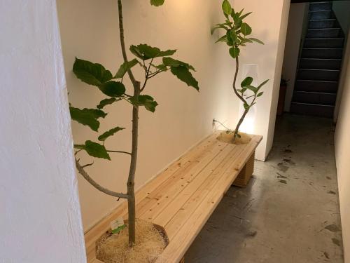 two trees sitting on a wooden bench in a room at Lodging Tokyo Ueno in Tokyo