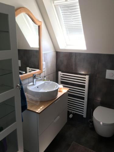 a bathroom with a sink and a mirror and a toilet at Ferienwohnung-Am-Sternbusch in Hau