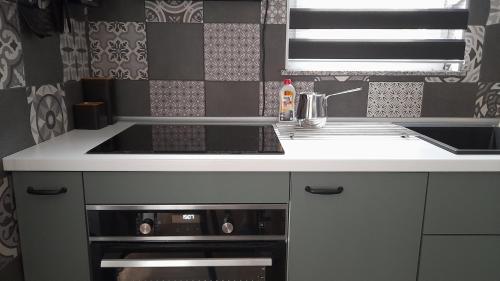 een keuken met een wastafel en een aanrecht bij Apartments & Room Danijel in Pinezici