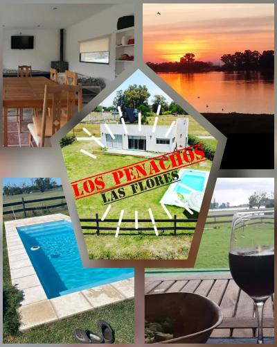 Los Penachos – Photos 2