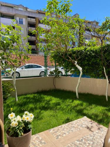 Fotografie z fotogalerie ubytování Venera Apartments v destinaci Budva