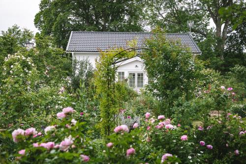 a garden with pink flowers in front of a white house at Vallby Cottage in Enköping