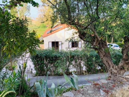 a white house with a tree in front of it at Gialova garden bungalow in Gialova