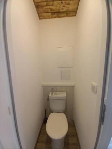 ein kleines Bad mit einem weißen WC in einem Zimmer in der Unterkunft L'ANNEXE in Chaumont