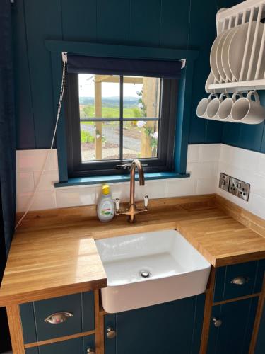 a kitchen with a sink and a window at Redfox Shepherds hut and private hot tub in Ballynameen