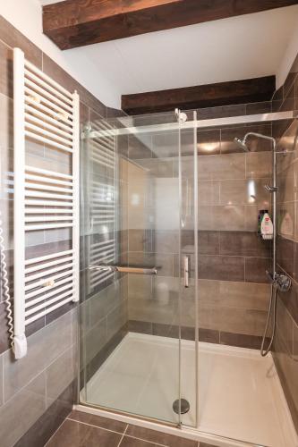 a shower with a glass door in a bathroom at Villa Vita in Benkovac