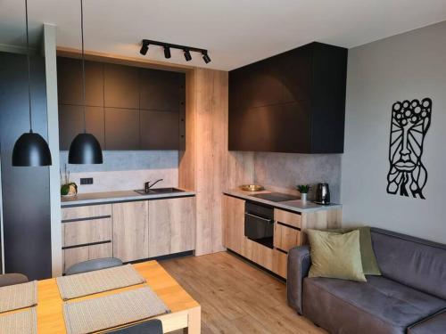 Virtuve vai virtuves zona naktsmītnē Gdańsk- Uroczy apartament z widokiem na zatokę