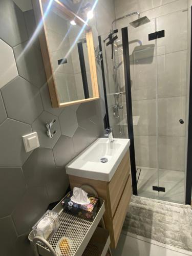a bathroom with a sink and a shower at HELove Apartamenty in Hel