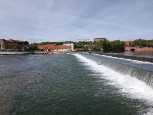 T3 Lumineux - Berges de la Garonne - Parking photo 24