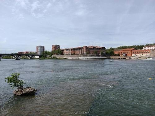 T3 Lumineux - Berges de la Garonne - Parking photo 22