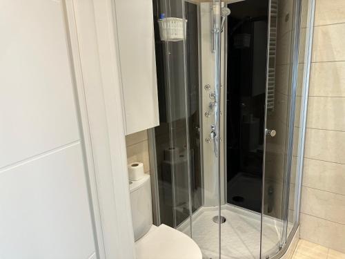 a bathroom with a toilet and a glass shower at Fabulous Penthouse Lakeview W20 in Bucharest