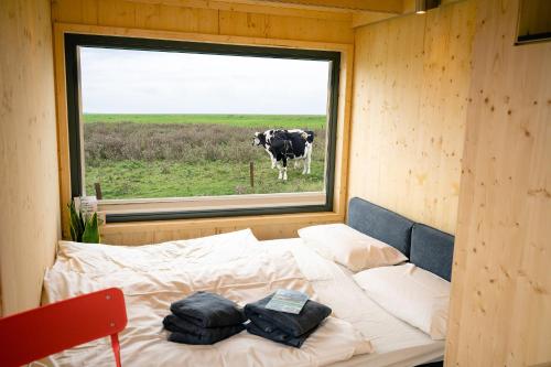- un lit dans une chambre avec une vache à l'extérieur d'une fenêtre dans l'établissement Tiny House Nature 3 Zur Kuhweide - Green Tiny Village Harlesiel, à Carolinensiel