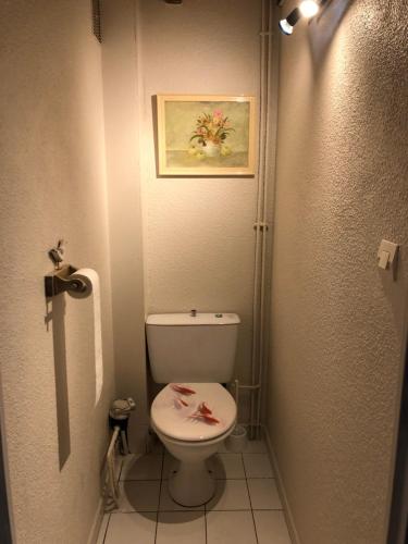a bathroom with a toilet with a picture on the wall at Belle villa plein sud climatisée 4 couchages 2 chambres terrasse, piscine commune parking dans résidence sécurisée 200m de la plage LRMA54 in Portiragnes