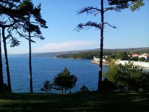 Mobilne kućice Lavanda