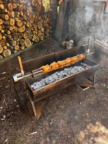 a grill with a bunch of logs and smoke at Villa Romana in Pezinok