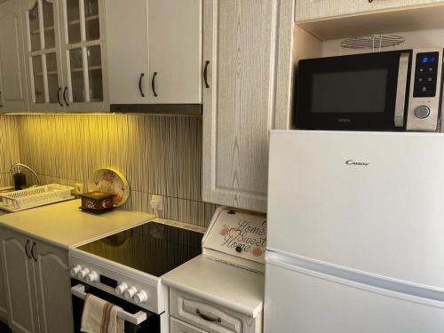 a kitchen with a white refrigerator and a microwave at Art Apartment in Podgorica