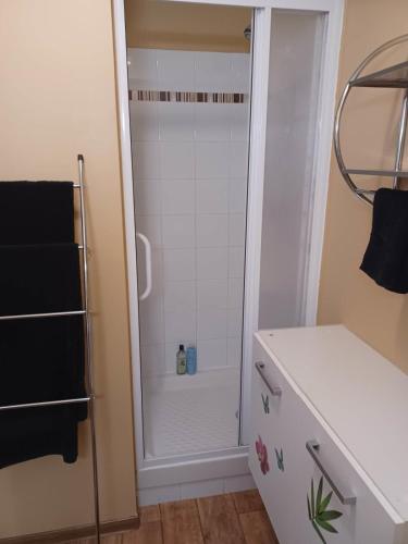 een douche met een glazen deur in de badkamer bij Charming studio 2 in Fréjus close to the beaches in Fréjus