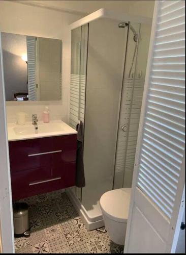 une salle de bain avec une douche, un lavabo et des toilettes dans l'établissement Grand studio centre Cannes, à Cannes