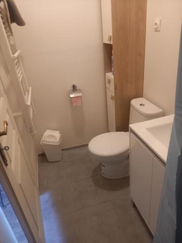 La salle de bains blanche est pourvue de toilettes et d'un lavabo. dans l'établissement logement entier spacieux et confortable à 1 h de Paris, à Courtenay