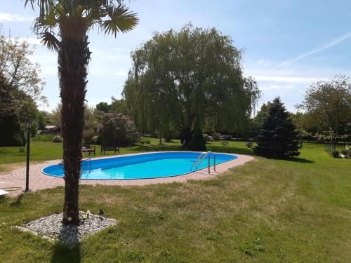 uma piscina num parque com uma palmeira em Landhof Kützin Ferienhaus 4 Meise 