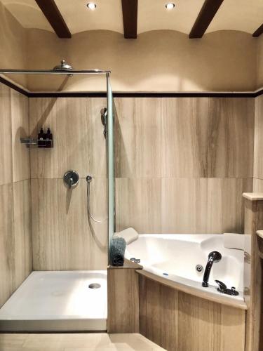 a bathroom with a bath tub and a shower at La Porticada in Morella