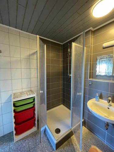 a bathroom with a shower and a sink at FeWo Eilers in Schönau-Berzdorf