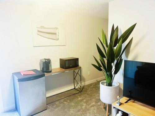 a living room with a tv and a plant at Clementina Place in Ottawa