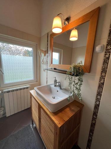 La salle de bains est pourvue d'un lavabo et d'un miroir. dans l'établissement Apartments and Rooms Kristina, à Drežnik Grad