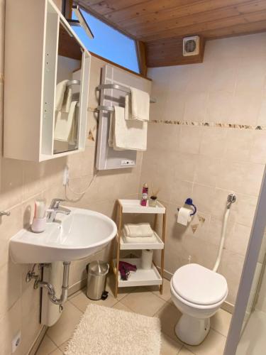 a small bathroom with a sink and a toilet at Apartment Balingen City in Balingen