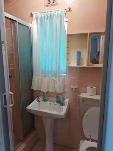 La salle de bains est pourvue d'un lavabo et de toilettes. dans l'établissement Turtleshaven, à St Lucia