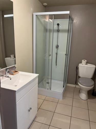 uma casa de banho com um chuveiro e um WC. em Le gîte du manoir em Baugé
