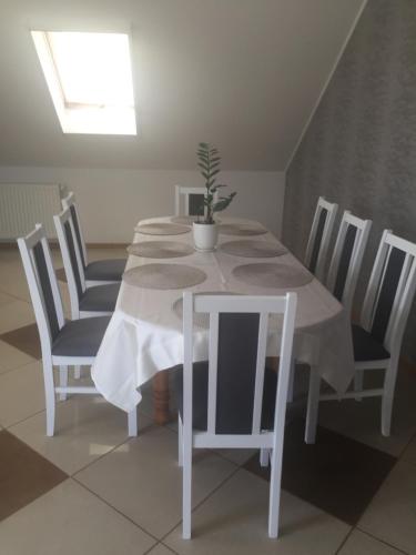 a white table and chairs with a potted plant on it at POKOJE GOŚCINNE RENATA KNITTER in Komnino