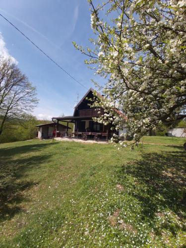 a house in a field with a tree in front of it at Vikendica odmor za dusu in Visoko