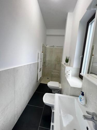 a bathroom with two toilets and a shower at Marvellous Aparthotel with Master Apartments Suceava in Suceava