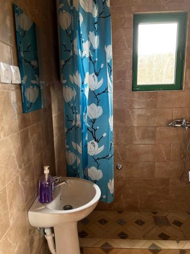 a bathroom with a sink and a blue shower curtain at Kolibe Ćorić in Mojkovac