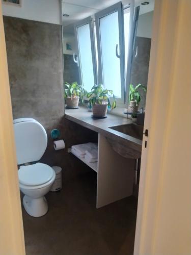 een badkamer met een toilet en een wastafel met planten bij Departamento en Tandil x 2 in Tandil