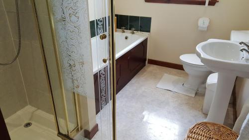 W łazience znajduje się prysznic, toaleta i umywalka. w obiekcie Druim Mor w mieście Stornoway