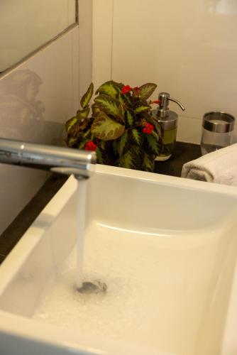 Φωτογραφία από το άλμπουμ του Tucan Suites Tarapoto - Hotel Asociado Casa Andina σε Tarapoto